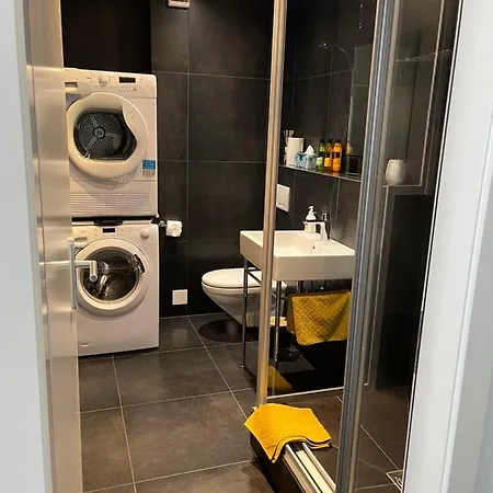 Appartement Tourbillon Centre-Ville Sion Esterno foto